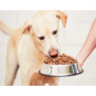 Piensos para perros Esterilizados